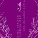 모이라 이미지