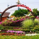 장미공원 이미지