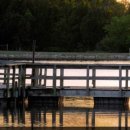 주립2농장 이미지