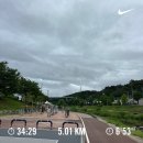 주식회사 인덕원승마스쿨 | 의왕 왕송호수 카페 커피트레인, 큐티폴 디저트 포크 후기, 무민 이딸라 접시, 무브먼트랩 의왕점 등