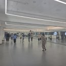 강강술래 | 대한무용동직심리치료학회: 강강술래 워크숍 후기