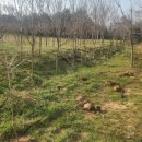 영민 농장 이미지