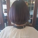 살롱드뮤토 네이버블로그