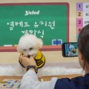 서초유치원 | 옐레드 서초교대역점 오픈 후기｜서초 강아지유치원 무료체험 &amp; 설명회 참여해봤어요