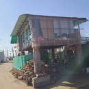 돌마농장 이미지