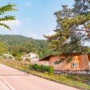 국민여가캠핑장 주차장 이미지