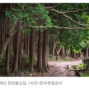 천년숲서로(동) 이미지