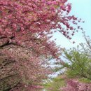 선흘1리낙선동경로당 이미지