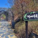 백야자연휴양림 이미지