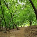 한그루공인중개사사무소 이미지