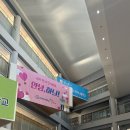 마곡하늬중학교 이미지