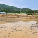 포천창수부동산중개 이미지