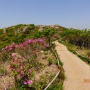 천관산 등반 그리고 주변 돌아보기 이미지