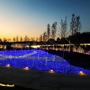 별빛정원 이미지