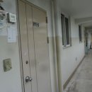 그린 (212) 이미지