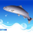 참좋은연세외과 이미지