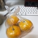lente 이미지