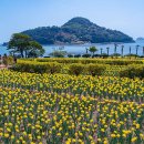 구항농장 이미지