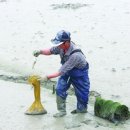 압해목장 이미지