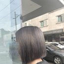 애쉬그레이 카카오 검색결과