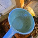 다덕약수관광지 이미지