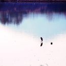 회동주차장 이미지