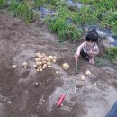 샘솔어린이집 이미지