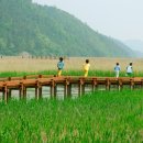 아랫장PC 이미지