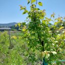 중말농장 이미지