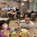 수리아 이미지