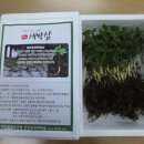 새싹가게협동조합 이미지