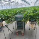 자담농장 이미지