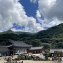 노고단-3 | (전라기행2day)추석 여행지 추천, 구례 가볼만한곳 BEST 3: 화엄사부터 노고단까지 (직접 다녀온 후기)