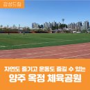옥정체육공원 축구장 | 자연도 즐기고 운동도 즐길 수 있는 양주 옥정 체육공원(축구장, 농구장, 산책로 등)