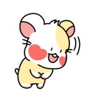 솔바람펜션 이미지
