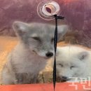 AK&기흥 티스토리