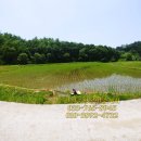 원주토지공인중개사사무소 이미지