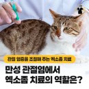 파발로151번길 이미지