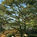 시골의맛 이미지