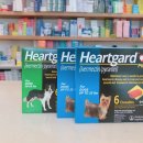 메디칼참약국 이미지