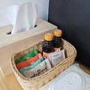 선흘숲 네이버블로그