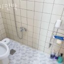 까치민박 이미지