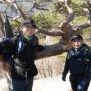 통큰딱다구리 이미지