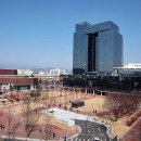경북대학교 티스토리