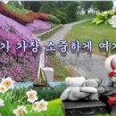 ★ 재미있는 동영상 보기 20편 이미지