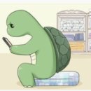 스마트 태권도 이미지