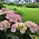 신나로힐링펜션 이미지