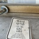 목포남초등학교 | 목포역 근처 카페 반려동물 동반가능 구움과자 맛집 카페 온후