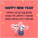 으뜸플러스안경남포점 이미지