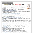 그레이트 동물병원 이미지